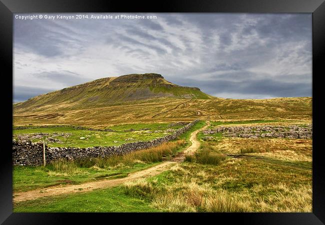  Path to Penyghent North Yorkshire Framed Print by Gary Kenyon