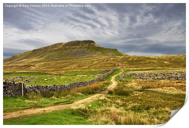  Path to Penyghent North Yorkshire Print by Gary Kenyon