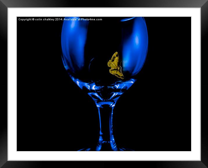  Moth on a Wineglass Framed Mounted Print by colin chalkley