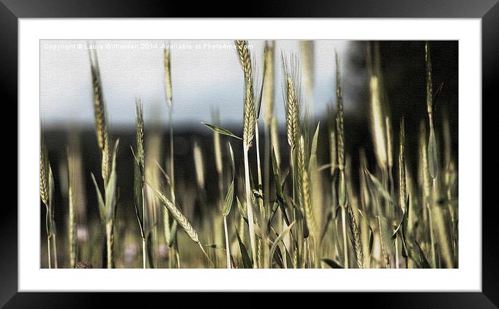  Wheat field canvas Framed Mounted Print by Laura Witherden