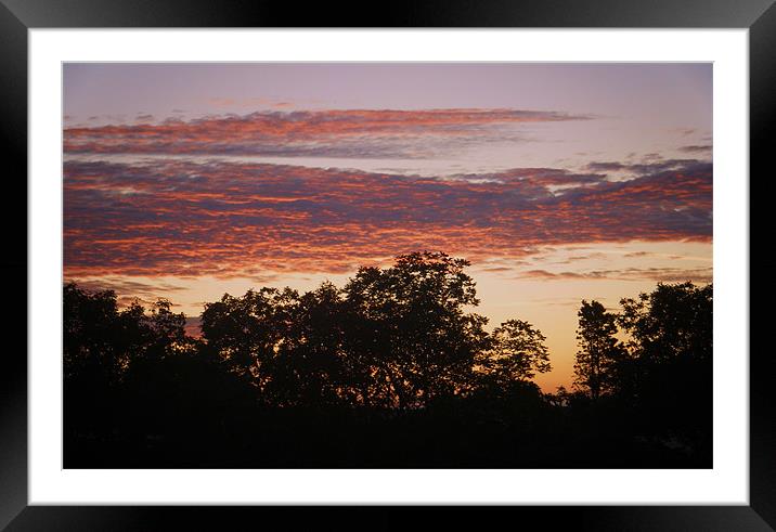 sunrise over the trees Framed Mounted Print by Martin Parkinson