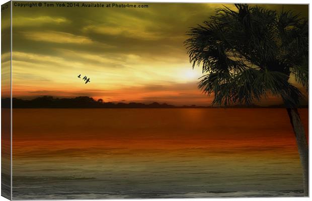 Tropical Serenity Canvas Print by Tom York