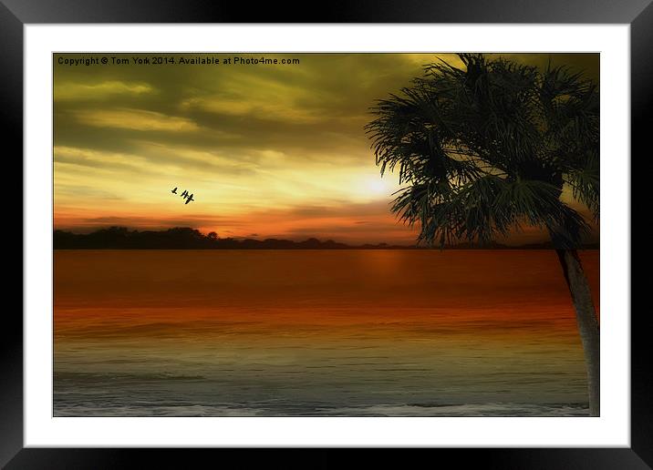 Tropical Serenity Framed Mounted Print by Tom York