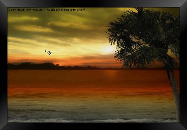 Tropical Serenity Framed Print by Tom York