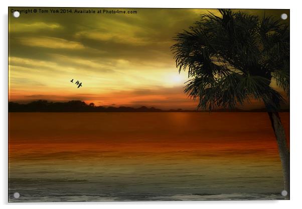 Tropical Serenity Acrylic by Tom York