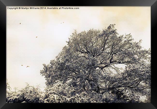 Tree In Winter Framed Print by Martyn Williams