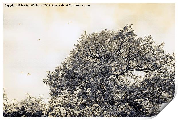 Tree In Winter Print by Martyn Williams