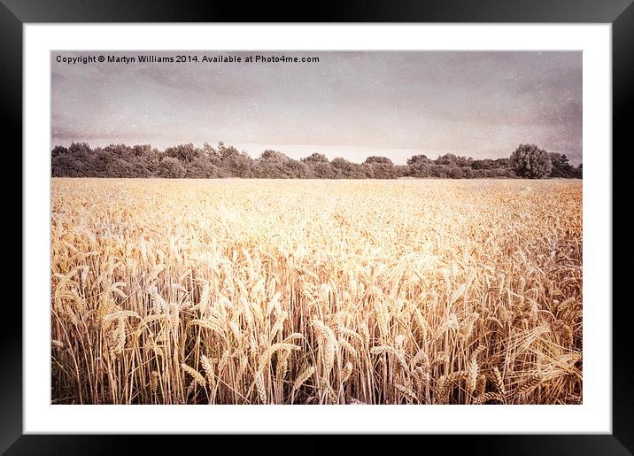 Wheat Field, Nottinghamshire Framed Mounted Print by Martyn Williams