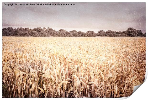Wheat Field, Nottinghamshire Print by Martyn Williams