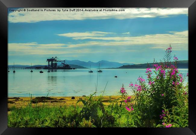  Summer Day at Fairlie Framed Print by Tylie Duff Photo Art