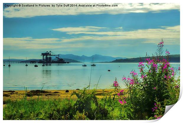  Summer Day at Fairlie Print by Tylie Duff Photo Art