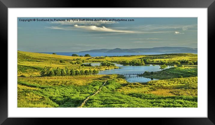  Holy Isle Arran from Fairlie Moor Framed Mounted Print by Tylie Duff Photo Art