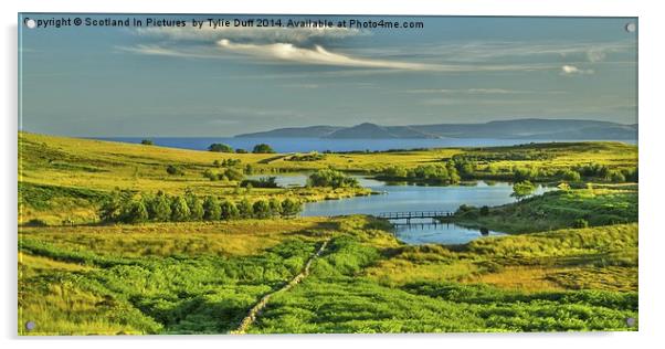  Holy Isle Arran from Fairlie Moor Acrylic by Tylie Duff Photo Art