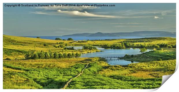  Holy Isle Arran from Fairlie Moor Print by Tylie Duff Photo Art