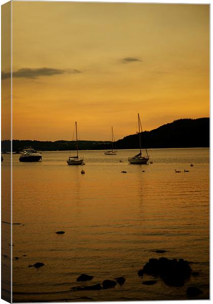 Boats on Windermere Canvas Print by Catherine Joll