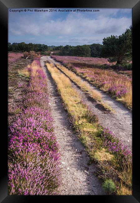  Pathway at Arne Framed Print by Phil Wareham