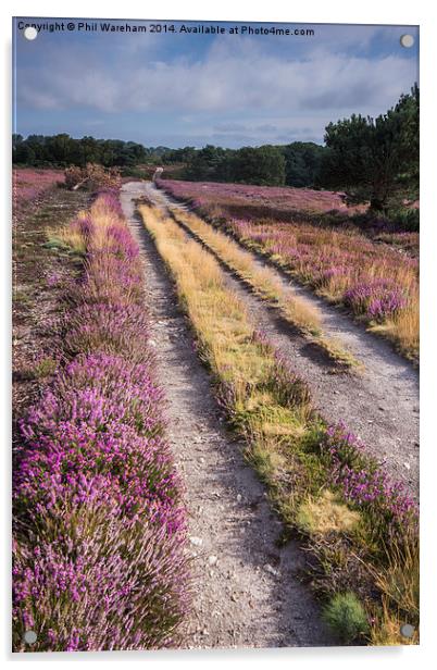  Pathway at Arne Acrylic by Phil Wareham