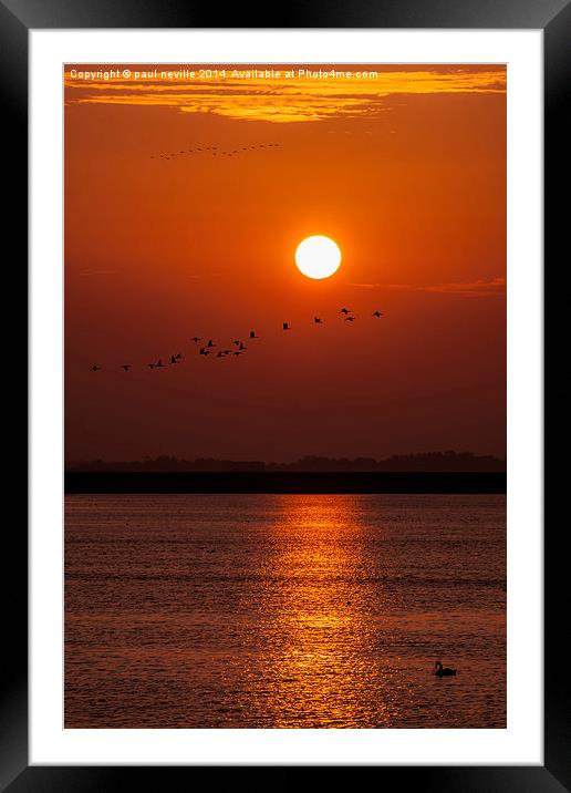  sun rise Framed Mounted Print by paul neville