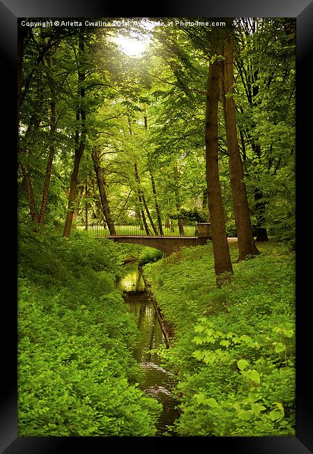 Green spring trees and bridge Framed Print by Arletta Cwalina