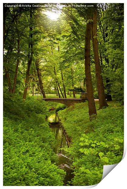 Green spring trees and bridge Print by Arletta Cwalina