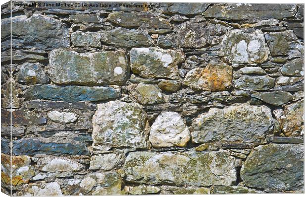 Stone Wall Canvas Print by Jane McIlroy