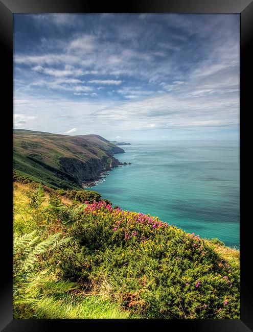  Devon Cliffs Framed Print by Dave Rowlatt