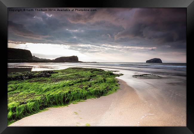 Seacliff view of Bass Rock Framed Print by Keith Thorburn EFIAP/b