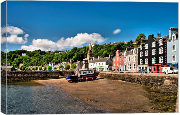 Painting the Boat, Tobermory, Mull  Canvas Print by Jacqi Elmslie