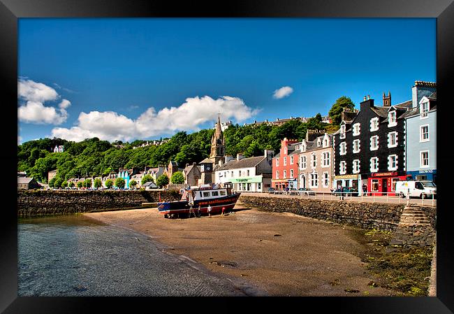 Painting the Boat, Tobermory, Mull  Framed Print by Jacqi Elmslie