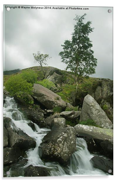 Ogwen Valley Cascade  Acrylic by Wayne Molyneux