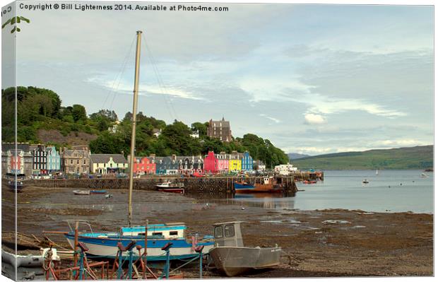  Tobermory , Tide Out Canvas Print by Bill Lighterness