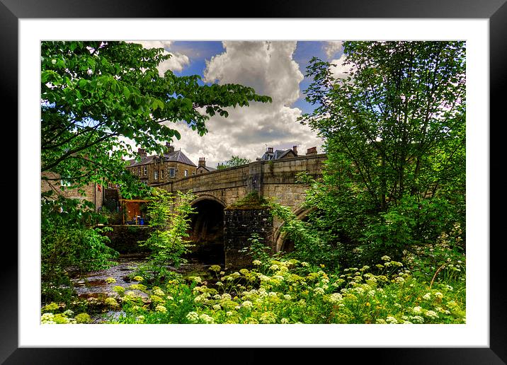 The Overgrown Riverbank Framed Mounted Print by Tom Gomez