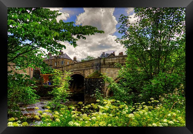 The Overgrown Riverbank Framed Print by Tom Gomez