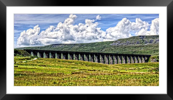 Ribblehead Viaduct Framed Mounted Print by Tom Gomez