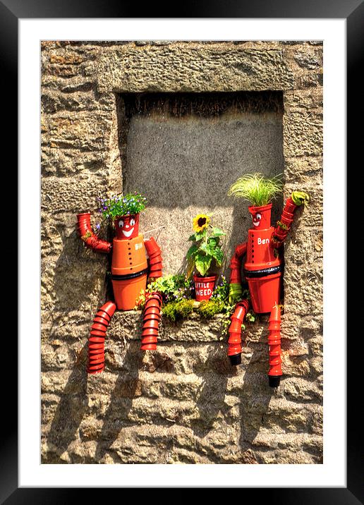 Flowerpot Festival Framed Mounted Print by Tom Gomez