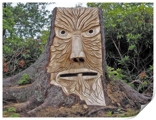 stump face unpainted Print by malcolm maclean