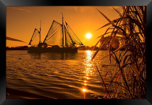  Sunset & Sails Framed Print by John Ellis