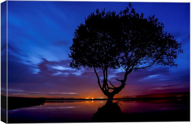  The Lonely Tree Silhouette  Canvas Print by Dean Merry