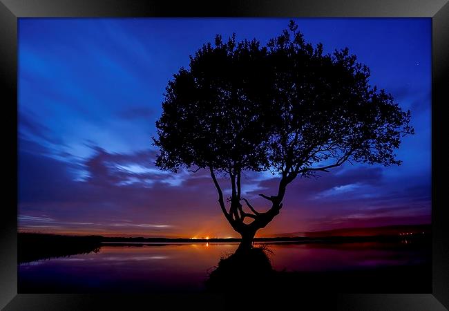  The Lonely Tree Silhouette  Framed Print by Dean Merry