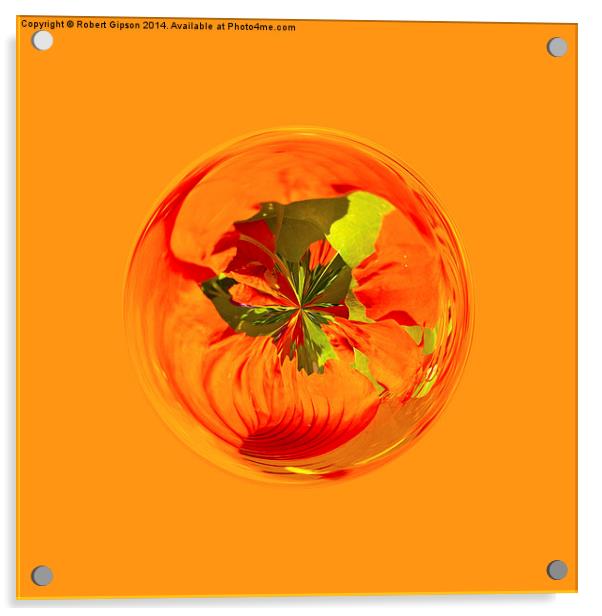  Orange flower in globe Acrylic by Robert Gipson