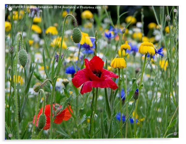 Colourful June wildflowers after rain. Acrylic by Elizabeth Debenham