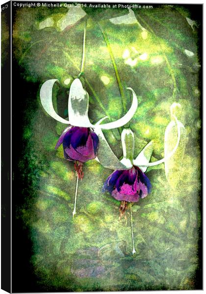  Fuchsias or Fairies Canvas Print by Michelle Orai
