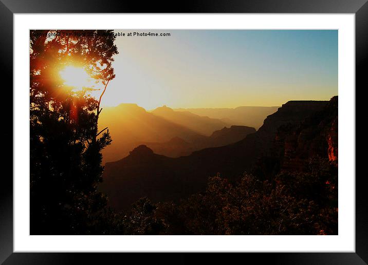  Sunrise at the Canyon Framed Mounted Print by Tom Hard