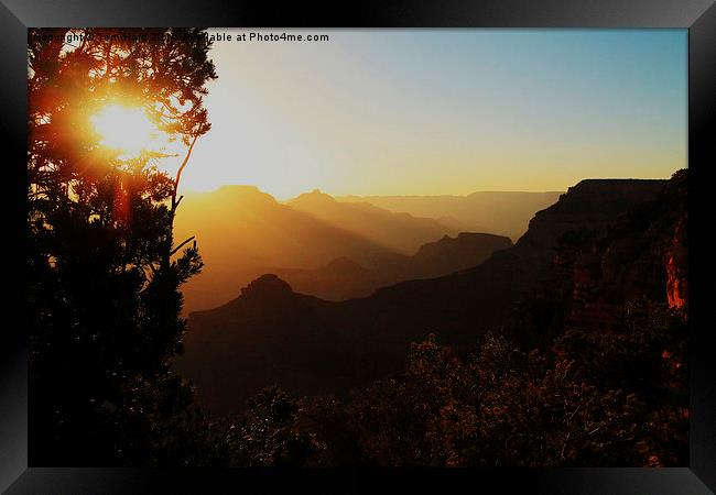  Sunrise at the Canyon Framed Print by Tom Hard