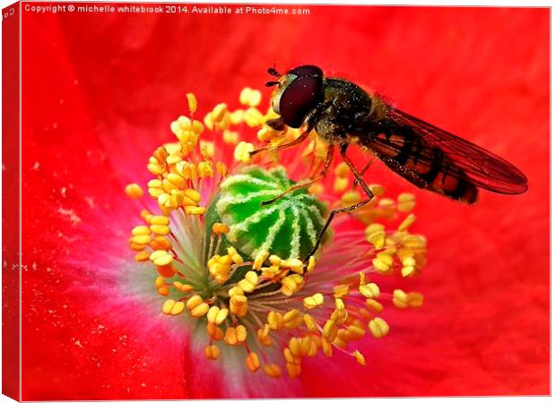 Pollen collector  Canvas Print by michelle whitebrook