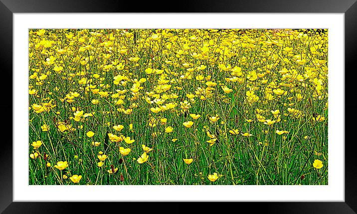  yellow Framed Mounted Print by dale rys (LP)