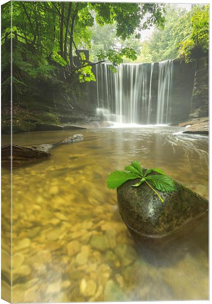 Plas Power Falls  Canvas Print by Jed Pearson