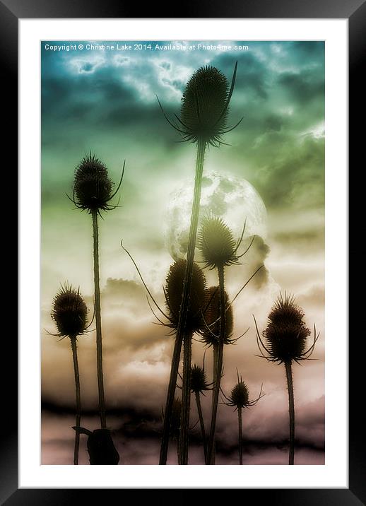  Teazle Town Framed Mounted Print by Christine Lake