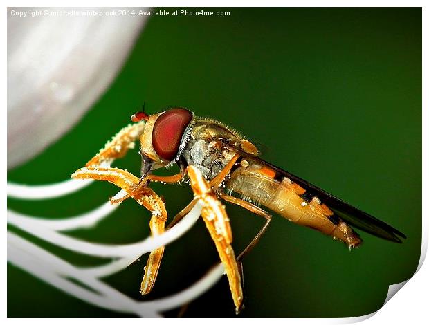  Breakfast Snack Print by michelle whitebrook