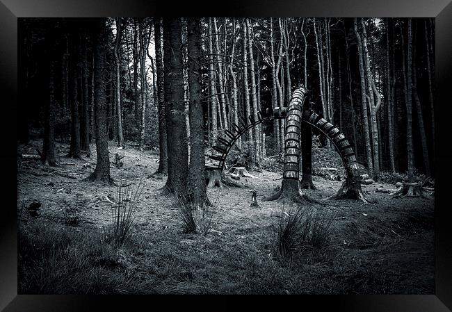  Strange thing in the Woods Framed Print by Chris Walker
